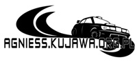 3. AgniessKujawa